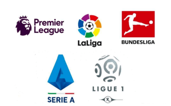 了球队主力 了球队主力